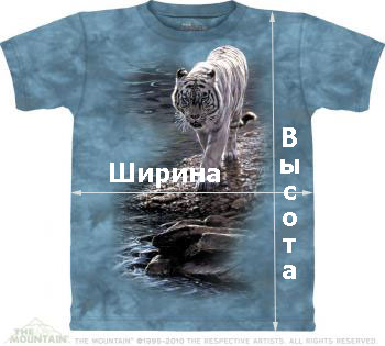 ������ ���������-���������� ���������� ��� ������ ����� � �������� siberian fast food � �������� � ������