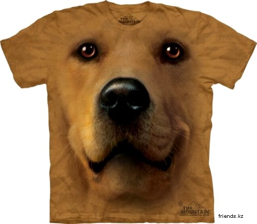 Первомайск Нижегородская область купить футболку с логотипом сумерки lang ru